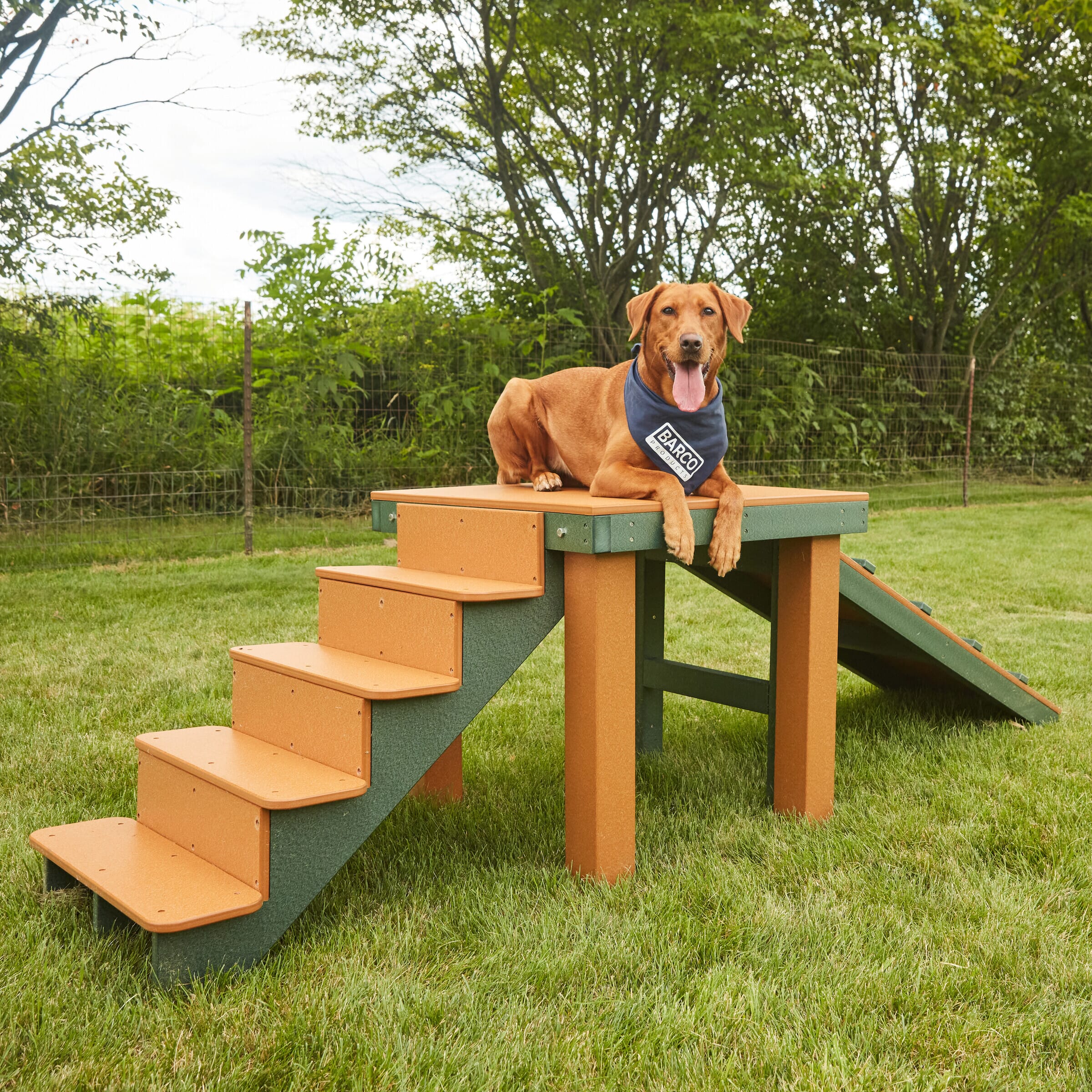 Top Dog Bridge - Stairs and Ramp