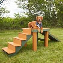 Top Dog Bridge - Stairs and Ramp