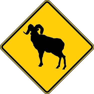 Bighorn Sheep Symbol Sign