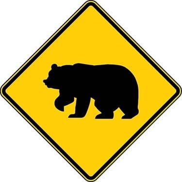 Bear Symbol Sign
