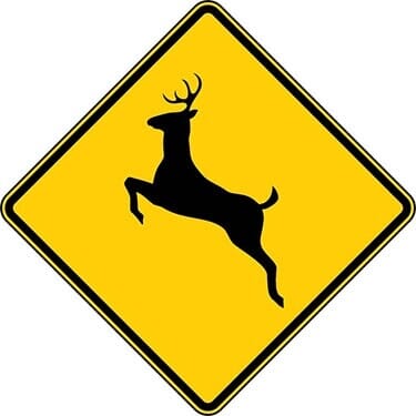 Deer Symbol Sign