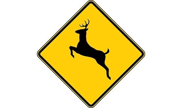 Deer sign 2025