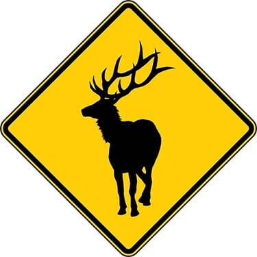 Elk Symbol Sign