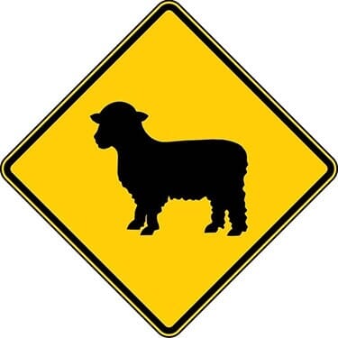 Sheep Symbol Sign