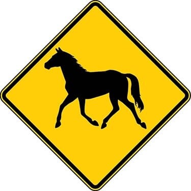 Wild Horse Symbol Sign