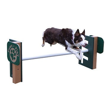 Adjustable Bar Jump