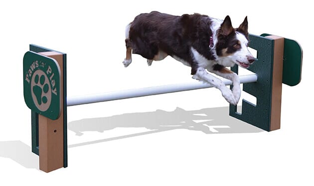 Dog Agility Ramp PawHut Set Of Dog Training Agility Gear